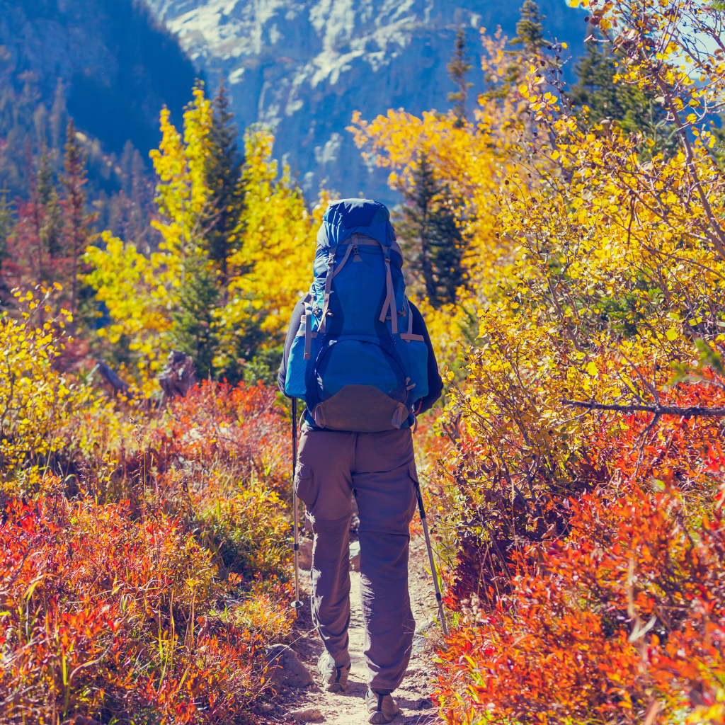 A hike in the fall foliage for a fall date idea.