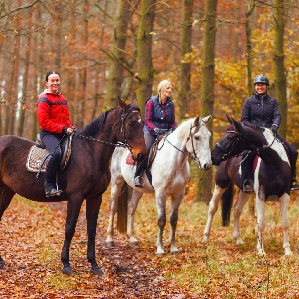 A group horseback riding session for a fall date idea.